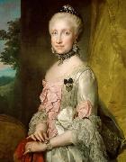 Anton Raphael Mengs Portrait of Maria Luisa of Spain oil